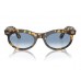 RAY BAN RB2242 WAYFARER OVAL 